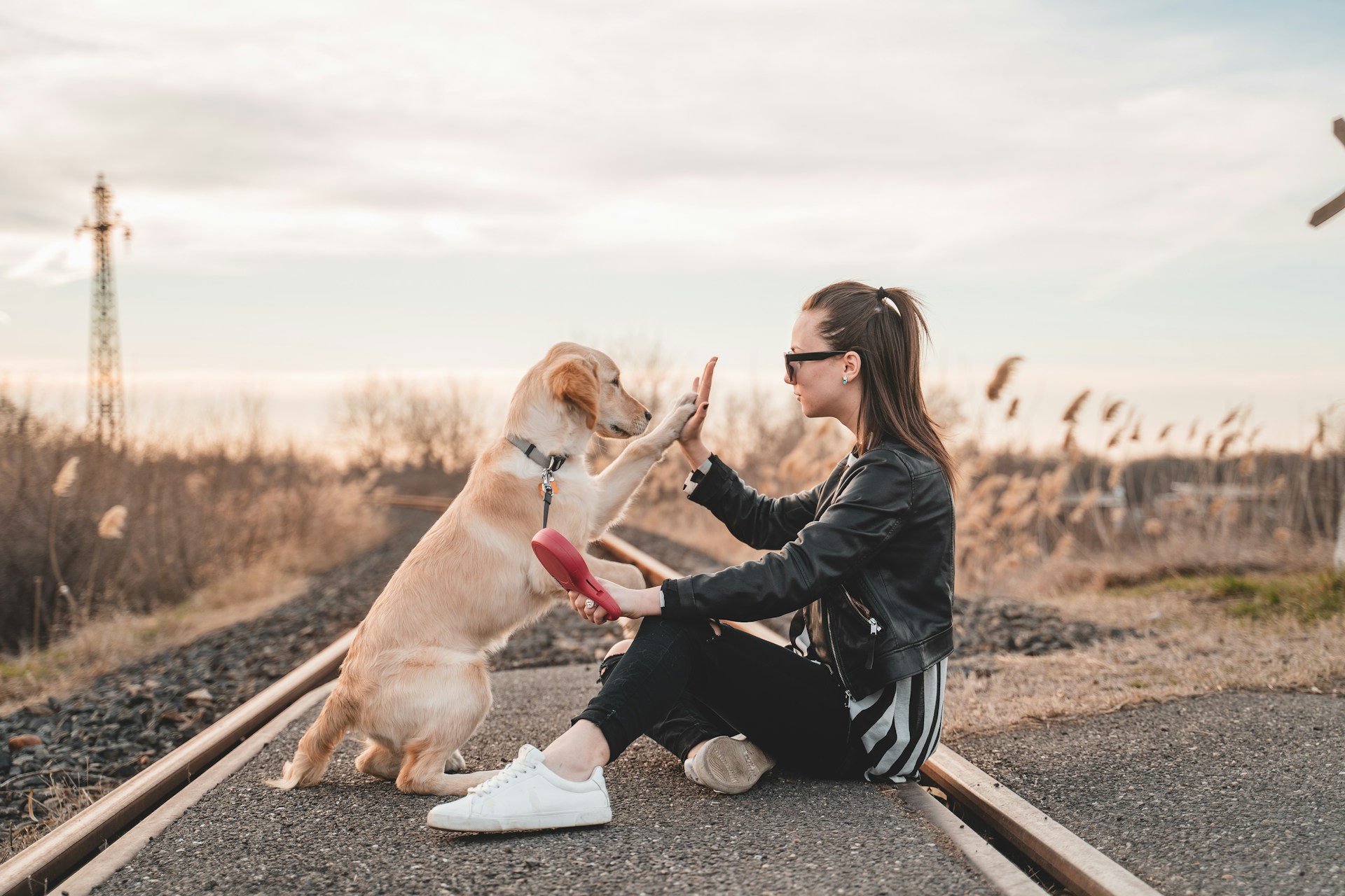 Dog trainer with dog on a path